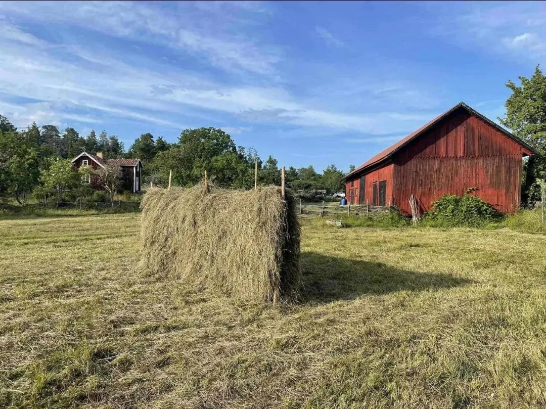 Markområde på ön i Västerviks skärgård